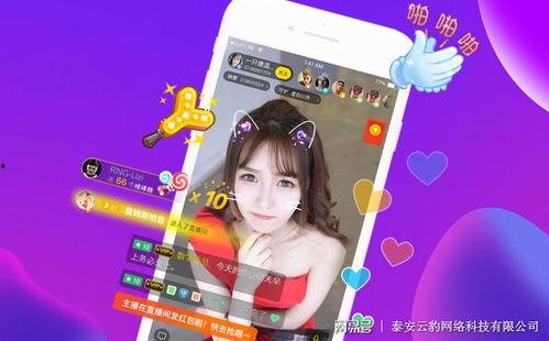 仙游今天爆料视频直播,今日热点事件深度解析 第1张 仙游今天爆料视频直播,今日热点事件深度解析 第1张