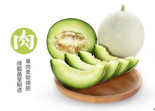 网红吃的网纹瓜,网纹瓜,口感与颜值并存的美味之旅 第2张 网红吃的网纹瓜,网纹瓜,口感与颜值并存的美味之旅 第2张